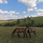 Zlatibor Brvnara Mir