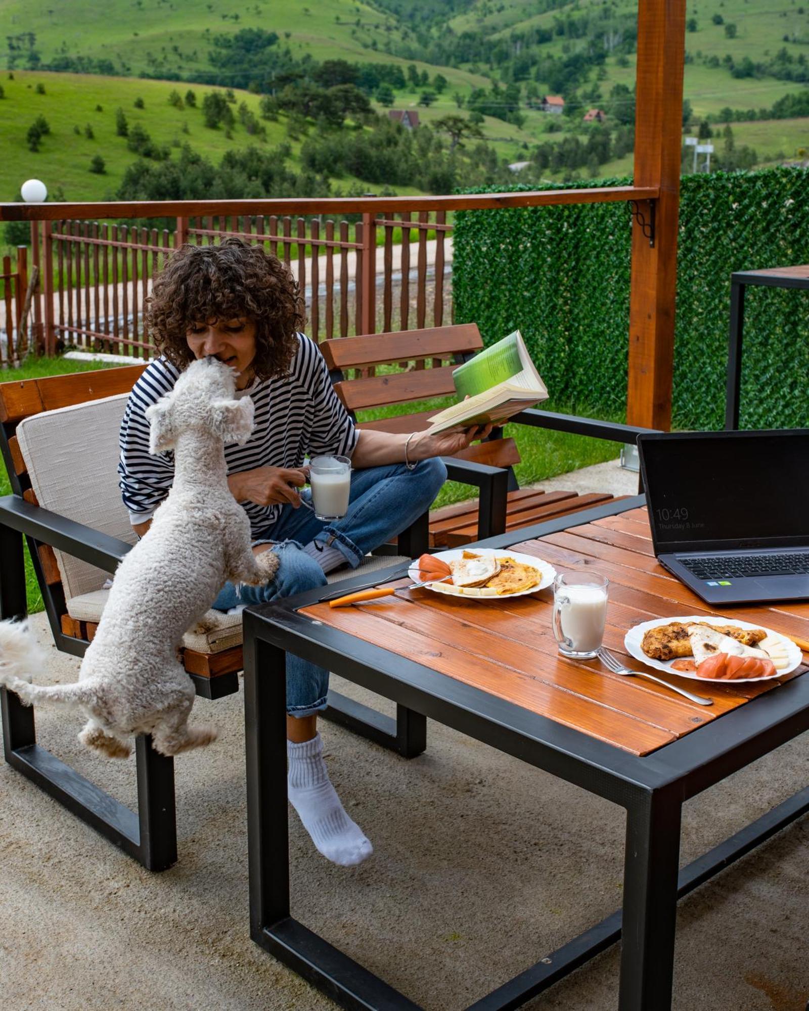 Chalet Brvnara Mir Zlatibor